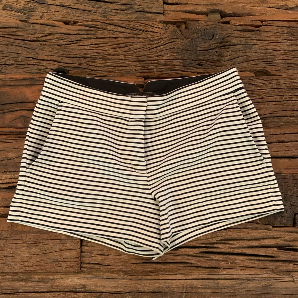 BCBG Women’s Striped Shorts